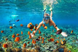 Coral Island (Koh Hey) - 5