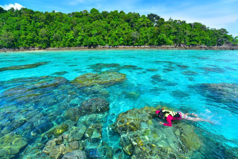 Surin Islands - 1087