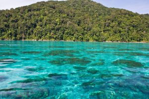 Surin Islands - 9