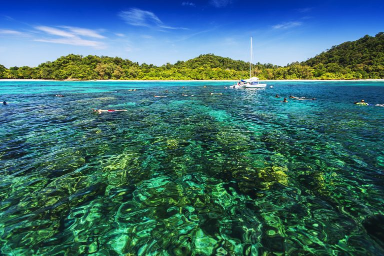 Koh Ha and Koh Rok Islands - 996