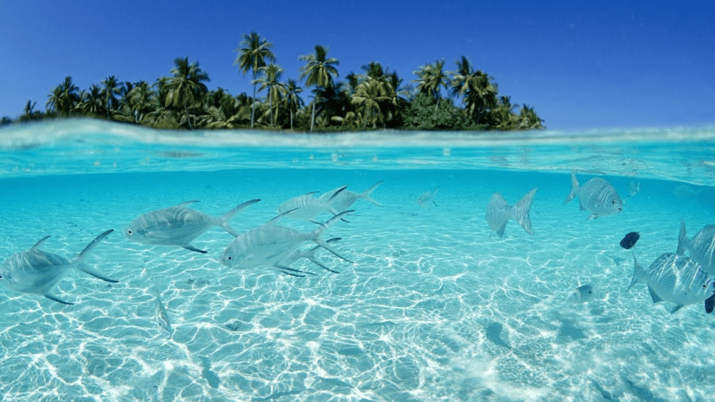 Clear turquoise water and white sand beach at Racha Yai island south of Phuket