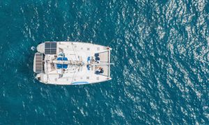 Calypso - 2468
