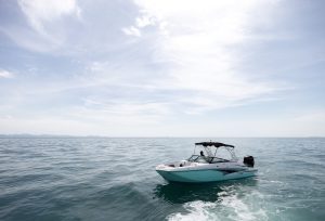 Monterey M65 - 4