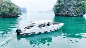 Ocean Pearl 42ft - 1730
