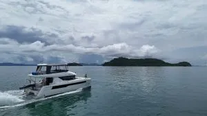 Shibuli Leopard 40