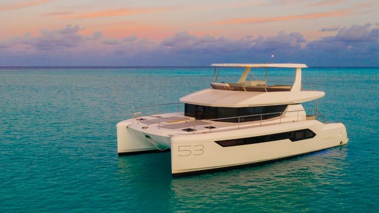 Zambezia Leopard 53 - 2010