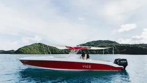 Al Dhaen 38 Vice — in a bay